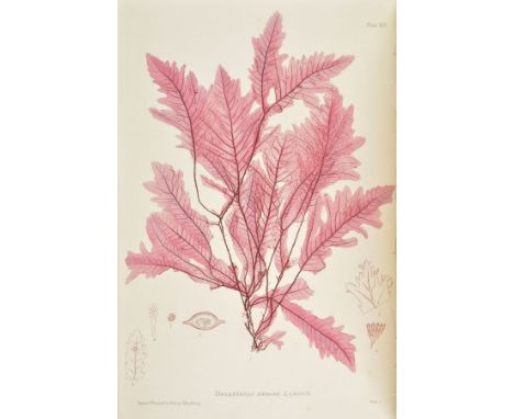 Johnstone (William Grosart, &amp; Alexander Croall). The Nature-Printed British Sea-Weeds, 4 volumes, 1st edition, London: Br