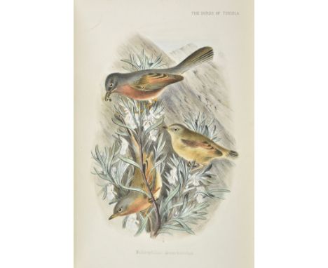 Whitaker (Joseph Isaac Spadafora). The Birds of Tunisia, being a History of the Birds found in the Regency of Tunis, 2 volume