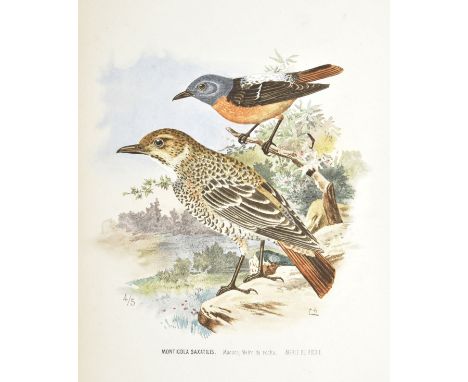 Carlos I (King of Portugal). Catalogo illustrado das aves de Portugal (Sedentarias, de arribação e accidentaes) por D. Carlos