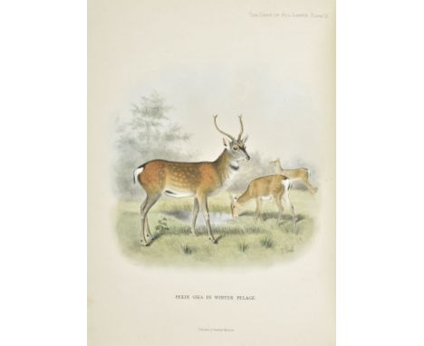 Lydekker (Richard). The Deer of all Lands. A History of the Family Cervidae Living and Extinct, 1st edition, London: Rowland 