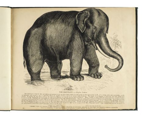 [Whymper, Josiah Wood, illustrator]. Plates Illustrative of Natural History [cover-title], 7 volumes, London: Society for Pro