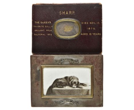 * Hair Jewellery - Queen Victoria's Collie (186401879). 'Sharp. The Queen's Favorite Collie brought from Balmoral 1865. Died 