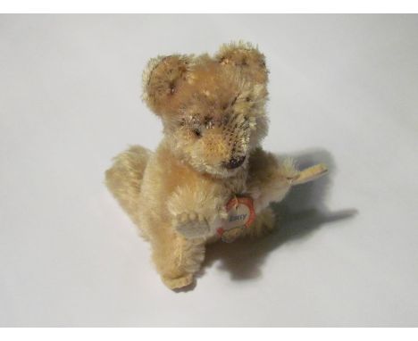 A vintage Steiff "Raccy" Racoon toy with original label
