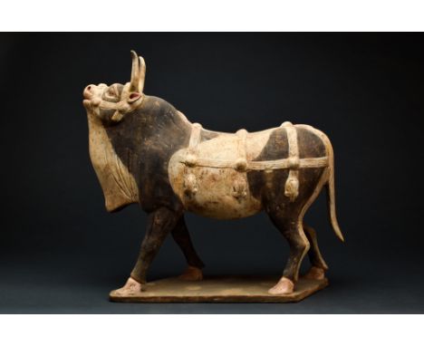 Northern Wei Dynasty, Ca. AD 386-534.A Northern Wei dynasty terracotta ox depicted with head tilted upwards flaring nostrils,