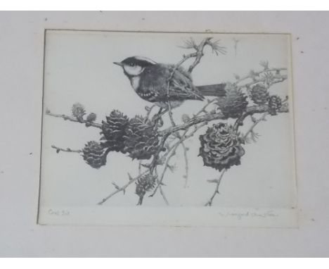 WINIFRED MARIE L AUSTEN (1876-1964)  'Coal Tit' Etching Signed and inscribed 4.25" x 5.75" 