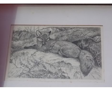 WINIFRED MARIE L AUSTEN (1876-1964) 'Fox' Etching Signed and inscribed 6" x 9" 