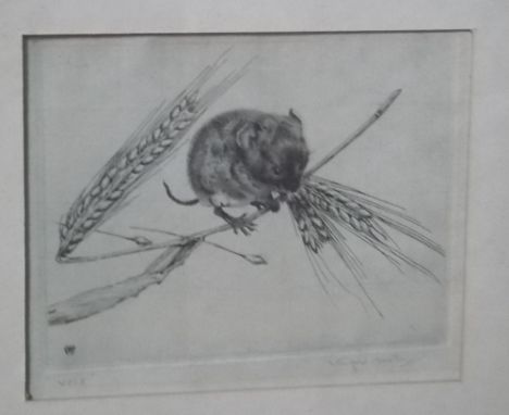 WINIFRED MARIE L AUSTEN (1876-1964)  'Vole' Etching Signed and inscribed 4.25" x 5.25" 
