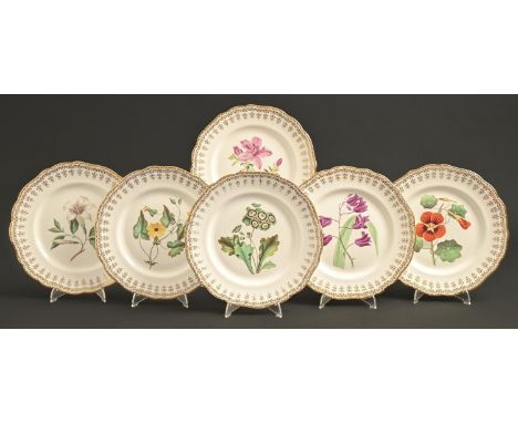 A set of six Staffordshire bona china botanical dessert plates, c1850, painted with an auricula, lily, nasturtium or other fl
