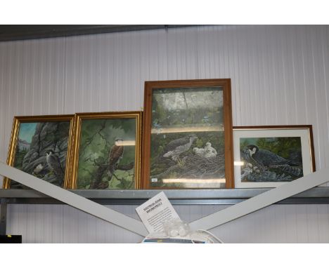 Peter R Holmes, four watercolour studies of birds