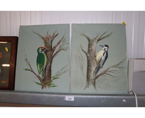R Taylor, two oil on canvas studies of woodpeckers