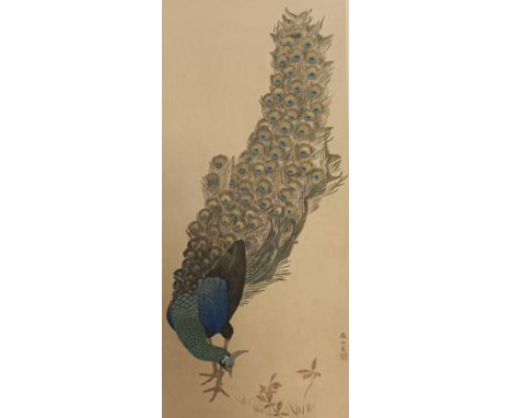 Chinese block print with highly detailed afterwork depicting a peacock [53x33cm] 