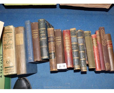 A box of books to include The Tower of London, British Reformers, The Man Who Knew Better etc.