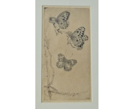Etching of Butterflies, initialled K.C. bottom right, mounted and framed. Measurements 25 x 12 cm, framed measurements 30.7 x