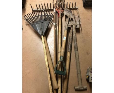 Collection of various garden tools 