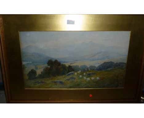 M Ward, Lakeland scene with sheep in the foreground and The Langdales in the background, water colour, signed, 12.5" x 22.5",