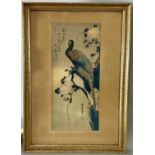 Hiroshige, Utagawa (1797 - 1858) nach, Asiatika ältere Druckgrafik, wohl Holzschnitt, Pfau