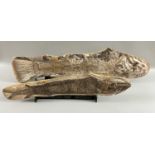 2 Stück Fossilien Fische Kreidezeit ca. 110 Mio. Jahre alt, wohl Calamopleurus und Vinctifer