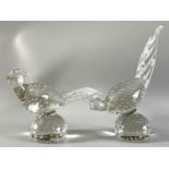 Paar Fasane aus Glas, Umkreis Tiffin oder Murano, vintage, paperweight roadrunner, ca. 25cm und 32cm