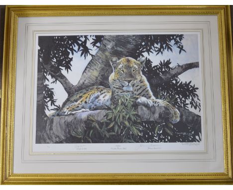 Dorothea Buxton-Hyde Ltd. Ed. print - Leopard 22" x 15"