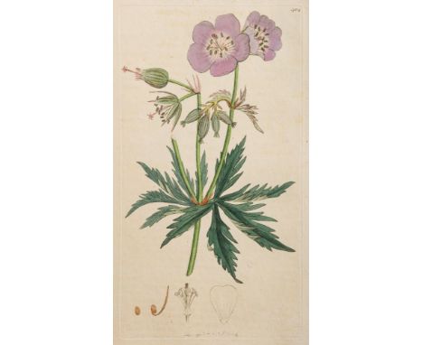SOWERBY, James - English Botany; or, coloured figures of British plants : 36 VOLUME SET, cont. cloth backed pink paper covere