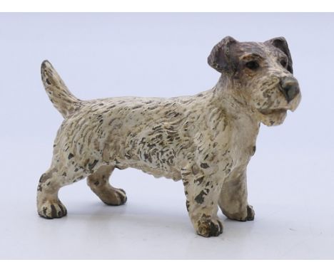 An Austrian cold painted bronze model of a terrier. 7 cm long. 