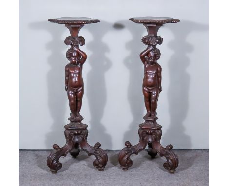 A Pair of 19th Century Continental Stained and Walnut Torcheres, the tops with shaped, moulded and carved edges, on standing 
