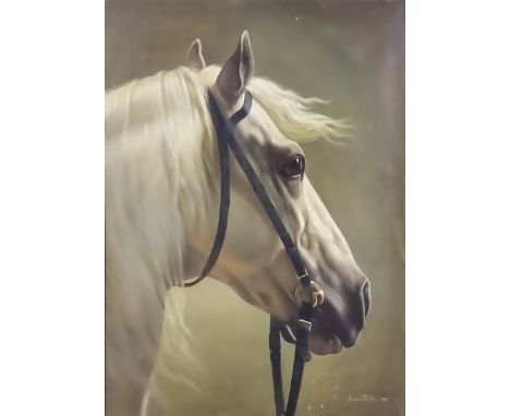 Joseph Kostka (1846-1927) - Oil painting - Portrait bust of a white stallion, signed and dated 1867, canvas 30ins x 22ins, in