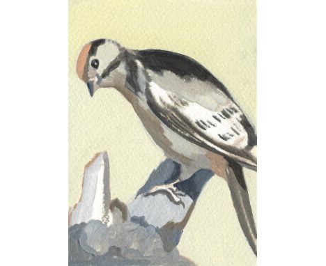 
	
		Anna Maria Schönrock
		Woodpecker, 2023
		Oil on paper
		Signed on Verso
		10 x 15cm (3¾ x 5¾ in.)
		About
		If one unde