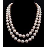 The name that says everything! A new/unused AKOYA pearl necklace with a single strand of perfectly