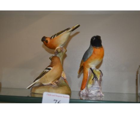 A Royal Worcester figure of a Red Start; together with a Royal Worcester figure of Chaffinches