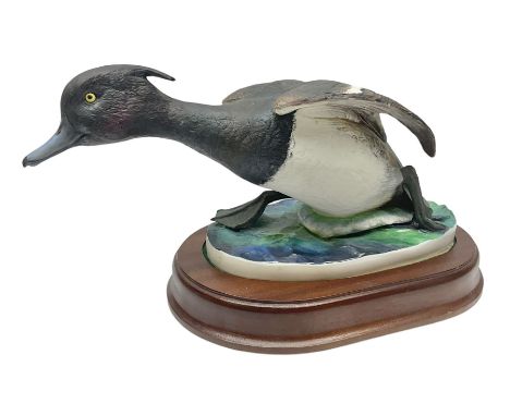 Crown Staffordshire model of a tufted duck, Model No 220/250, with wooden plinth base