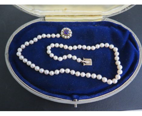 A string of pearls with a 9ct amethyst and pearl clasp, 43cm long, pearls approx 5mm wide, generally good condition 