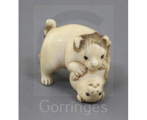 A Japanese ivory netsuke of two puppies, 19th century, the chubby pups play fighting, unsigned, l. 3.6cm