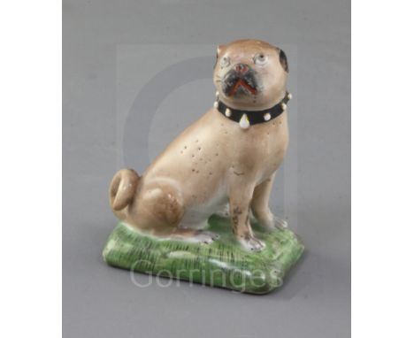 A Derby figure of a seated pug, c.1758, with light brown coloured coat and brown stripe down its spine, on naturalistically p