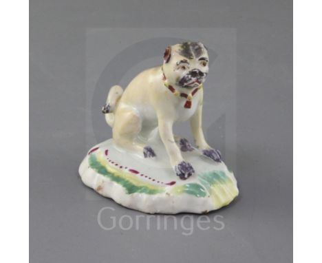 A Derby figure of a seated pug, c.1758-60, on a rococo scrollwork base with puce, pale green and yellow enamel typical of thi