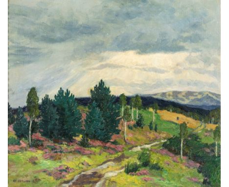   Blum, Carl  Blum, Carl   1888 Freiburg - 1953 Balingen. Öl/Lw. Sonnenstrahlen nach einem Regenschauer mit Blick über  die S