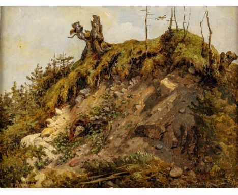   Morgenstern, Carl  Morgenstern, Carl   1811 Frankfurt a.M. - 1893 ebd.  Öl/Lw., aufgez. auf Malpappe. Abhang mit Geröll. U.