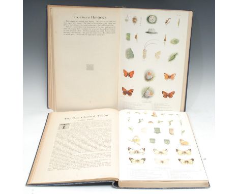 Natural History, Lepidopterology- Frohawk (F.W., M.B.O.U., F.E.S., etc.), Natural History of British Butterflies: A complete,