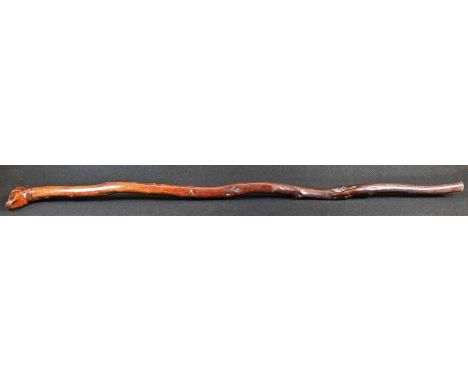 A 19th century fruitwood gentleman's novelty walking stick, the 'janus' pommel carved with two dogs' heads, 87cm long 