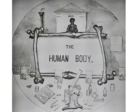 Magic Lantern Slides - Anatomy, The Human Body, a series of 50 b/w anatomical slides, cased en suite 