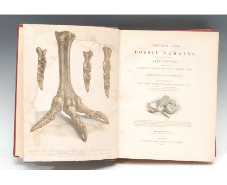 Geology - Palaeontology, Mantell (Gideon Algernon, Esq., LL.D.., F.R.S.), A Pictorial Atlas of Fossil Remains, Consisting of 