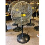 Pedestal Shop Fan