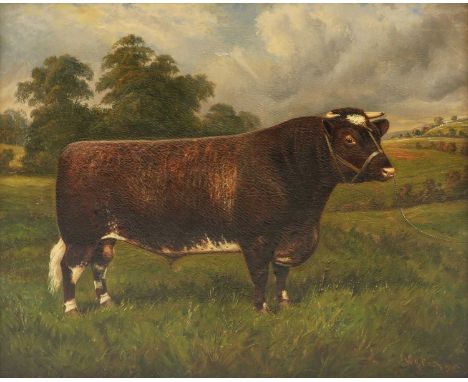William Albert Clark (fl. 1906-1937) 'Castleton Style', a six-year-old dairy shorthorn bullsigned 'W A Clark' and dated 1925 