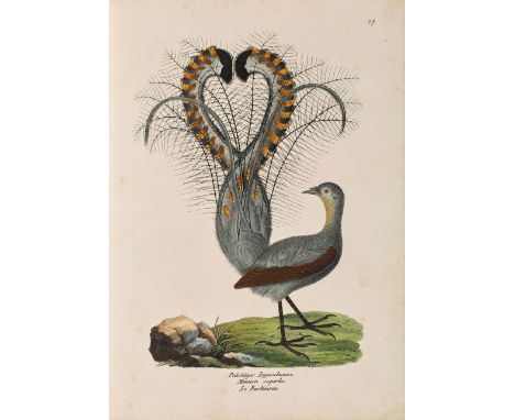 ZOOLOGIE -Brodtmann, Karl Josph - Schinz, Heinrich Rudolf.Naturgeschichte und Abbildungen der Säugethiere/ der Vögel-Gattunge