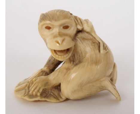 A Japanese ivory Netsuke of a monkey kneeling on a lilypad with a frog crawling on his back, signed, 3cm high 