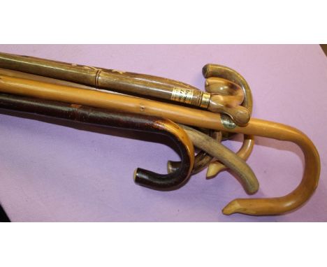 Collection of 7 walking sticks of various types including shepherds crooks and alpine snow stick etc 