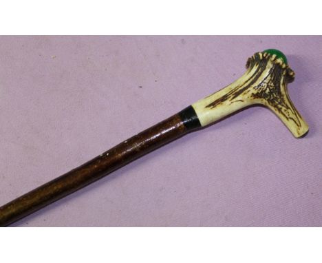Hazel shank walking stick with Red Deer antler handle and unusual green knob topper, overall L105cm 