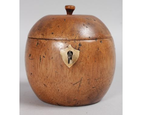 AN APPLE TEA CADDY. 4.5ins high.
