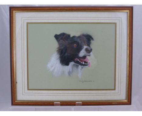 David Wordsworth A Pastel Study of a Border Collie, together with a pencil study of a nude figure by Trevor Neal and one othe