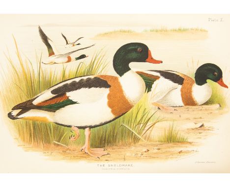 Natural History / Ornithology Interest. Baker, Stuart. Indian Ducks and Their Allies, subscription copy, limited edition, pub